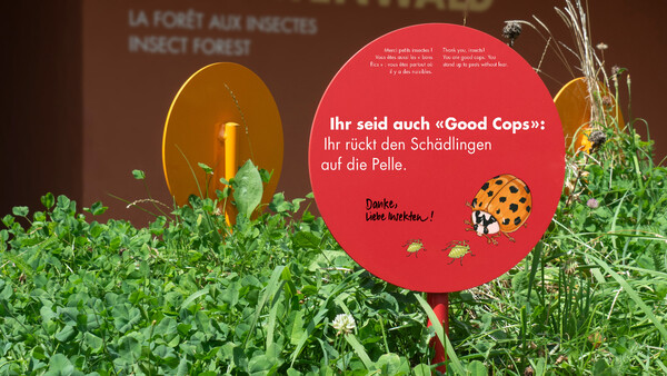 Insektenwald Zoo Zürich