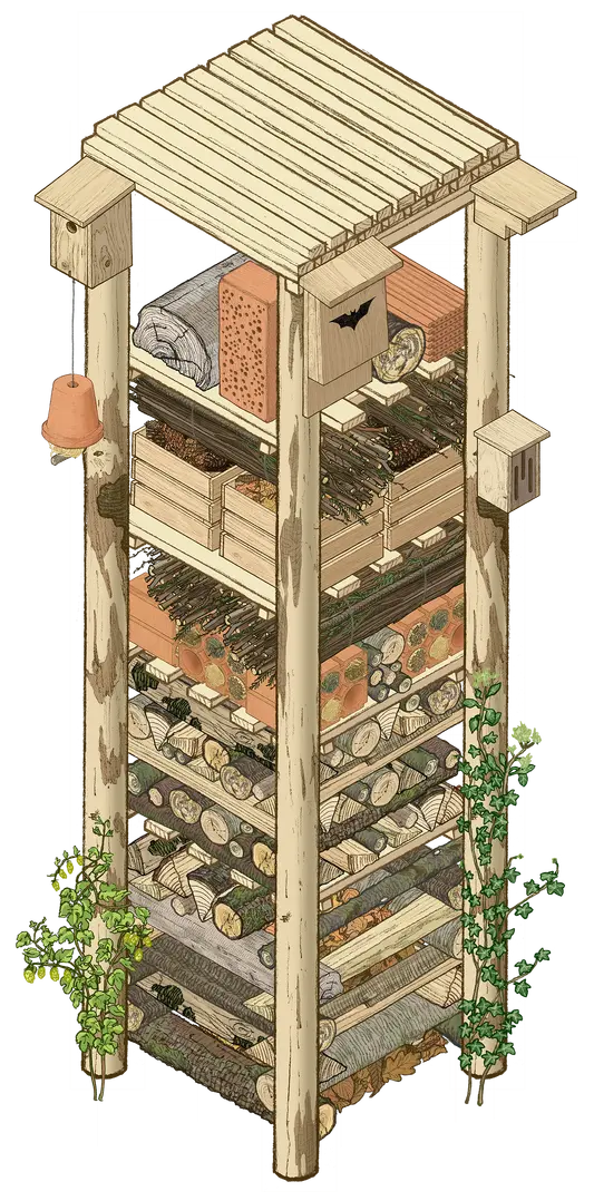 Kolorierte Zeichnung eines fertigen Lebensturms