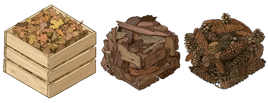 Kolorierte Zeichnung von Laub, Rindenmulch und Tannzapfen