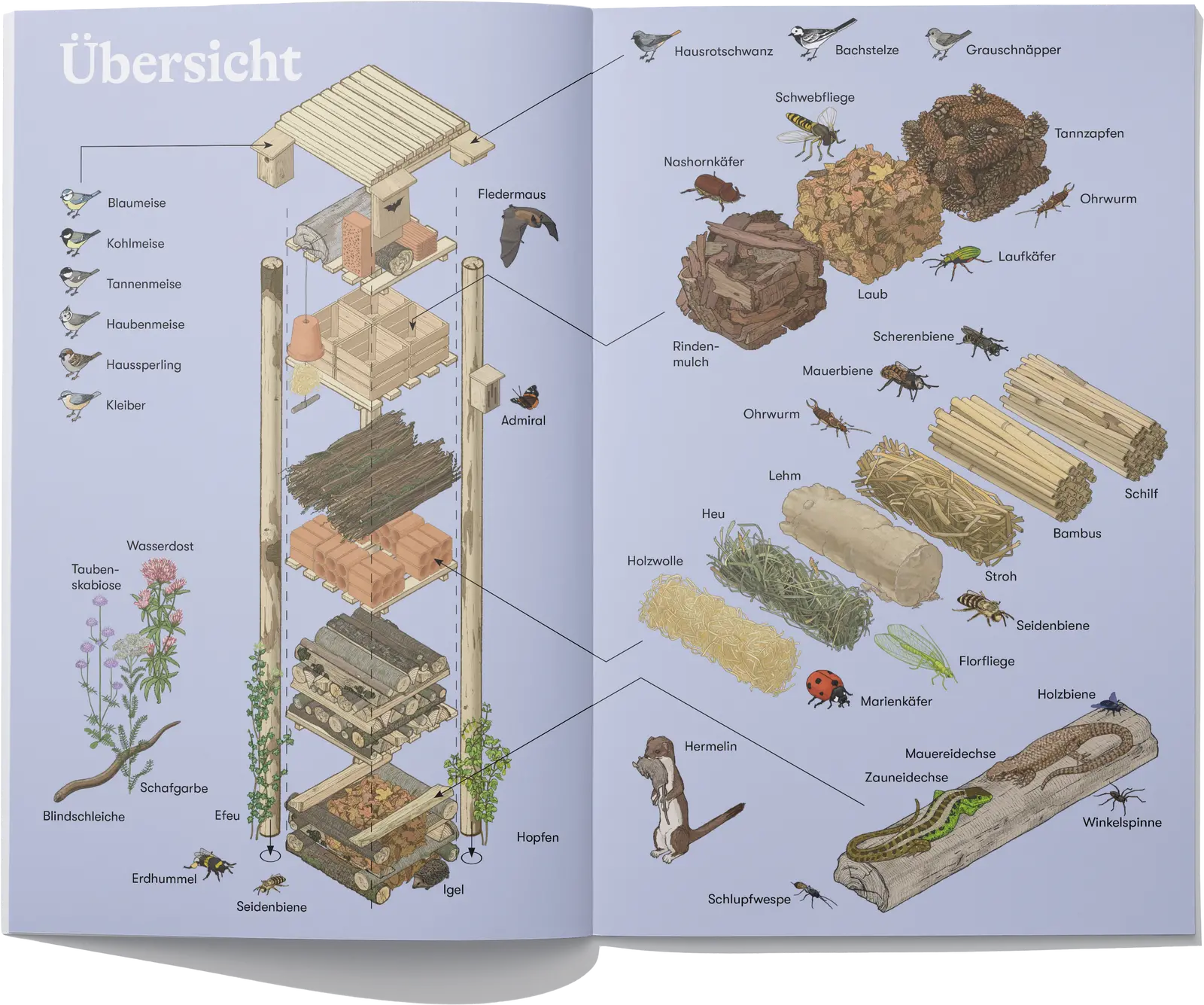Illustrative Infografik eines Lebensturms, gezeigt werden viele einheimische Tiere und Pflanzen der Schweiz