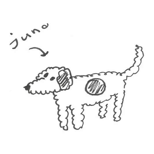 Lustige Tusche Zeichnung eines flauschigen Hundes mit Namen Juno