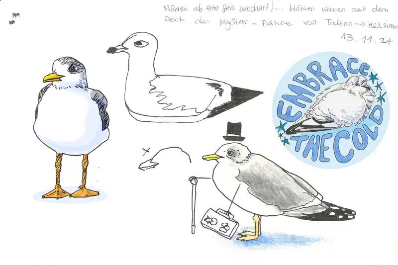 Tierzeichnungen von Möwen digital eingefärbt